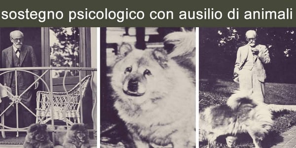 Freud e la sua Jofi: il sostegno psicologico con ausilio di animali