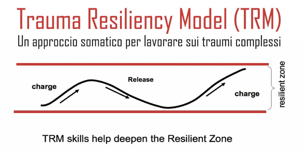 Trauma Resiliency Model (TRM). Un approccio somatico per lavorare sui traumi complessi