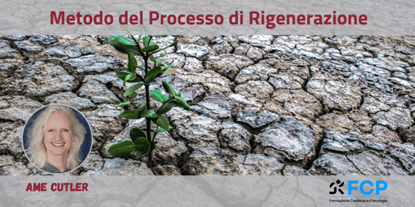 Metodo del Processo di Rigenerazione