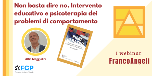 Non basta dire no. Intervento educativo e psicoterapia dei problemi di comportamento