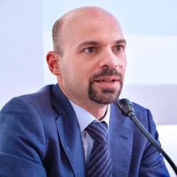 Paradossi e Traumi dello Sviluppo in Adolescenza: Clinica, Psicoterapia, Neurobiologia