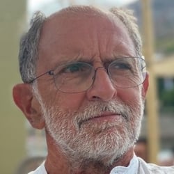 Paradossi e Traumi dello Sviluppo in Adolescenza: Clinica, Psicoterapia, Neurobiologia