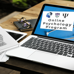 Psicologia ONLINE: alcune indicazioni dell'APA American Psychological Association